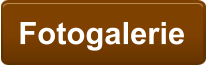 Fotogalerie