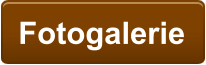 Fotogalerie