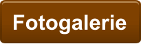 Fotogalerie